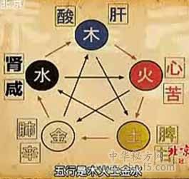 五行脏腑图
