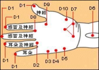 [转载]能让你多活30年的穴道按摩【图解】