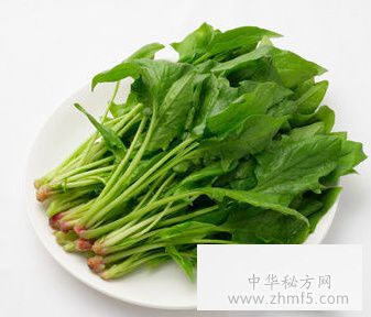 春分吃什么<a  data-cke-saved-href=http://www.duomehao.com href=http://www.duomehao.com target=_blank class=infotextkey>养生</a>？多吃9种食物调理身体