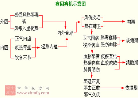 肺痈的原因