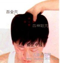 四神聪穴位图