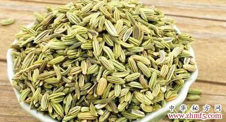 小茴香的功效与作用